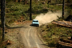 Oregon Trail 2006